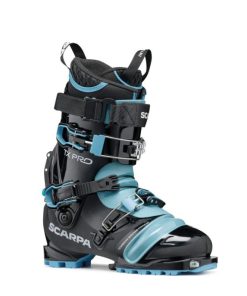 Royholliday.shop0430b4a011 1