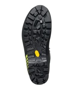 Royholliday.shop049a4312e9 5