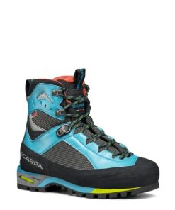 Royholliday.shop05a33bf9ed 1