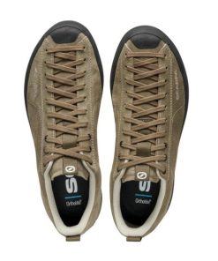 Royholliday.shop0614d8edf9 3