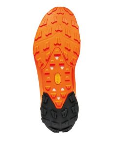 Royholliday.shop0929628852 5