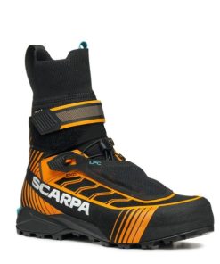 Royholliday.shop0e1a32a5d4 1