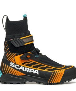 Royholliday.shop0e1a32a5d4 2