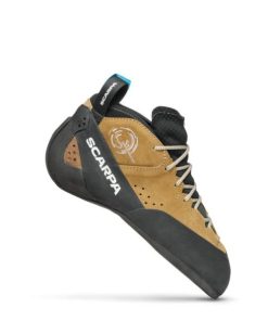 Royholliday.shop15eb2fe268 1