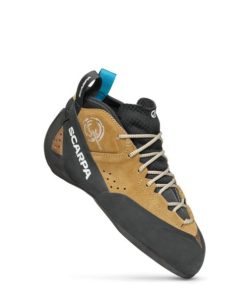 Royholliday.shop15eb2fe268 2