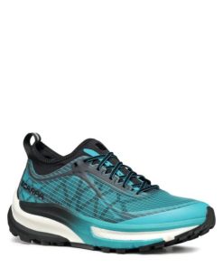 Royholliday.shop17af228a7f 1