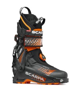 Royholliday.shop18f11ab2ef 1