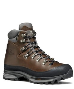 Royholliday.shop1aff336ff6 1