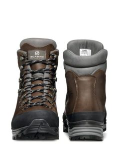 Royholliday.shop1aff336ff6 4