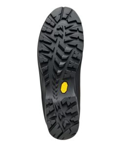 Royholliday.shop1aff336ff6 5