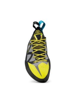 Royholliday.shop1c172fcc7e 3