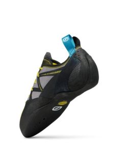 Royholliday.shop1c172fcc7e 5