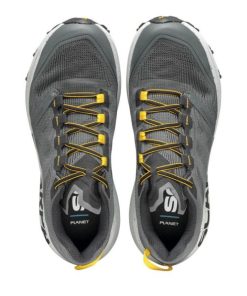 Royholliday.shop1ea31b5a5e 4