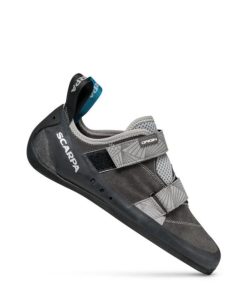 Royholliday.shop1f53faf420 1