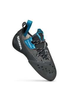 Royholliday.shop25ae1e5ee8 2