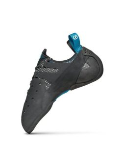 Royholliday.shop25ae1e5ee8 4