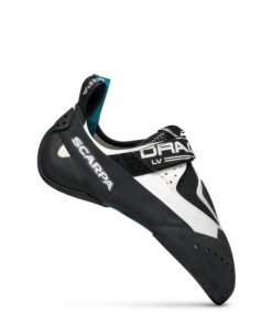 Royholliday.shop2ce70c1fce 1