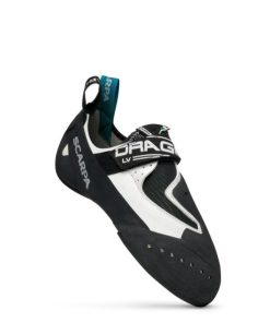 Royholliday.shop2ce70c1fce 2