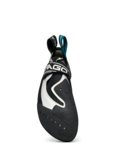 Royholliday.shop2ce70c1fce 3