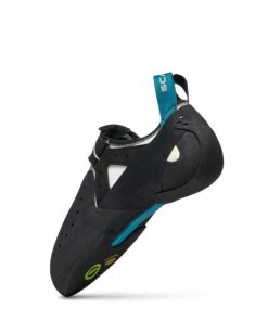 Royholliday.shop2ce70c1fce 5