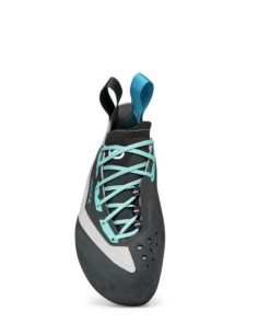 Royholliday.shop2f8f06a4f2 3