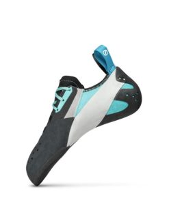 Royholliday.shop2f8f06a4f2 4