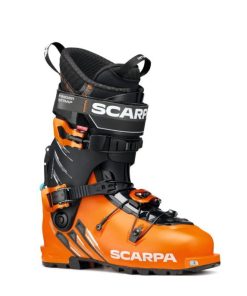 Royholliday.shop303372873b 1