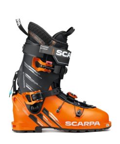 Royholliday.shop303372873b 2