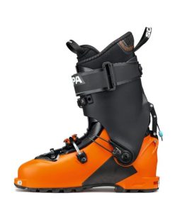 Royholliday.shop303372873b 3