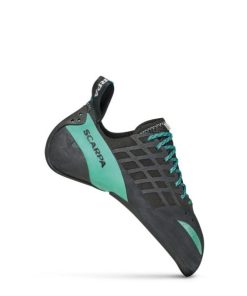 Royholliday.shop3096576332 1