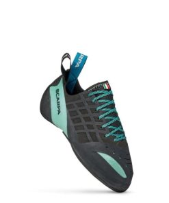 Royholliday.shop3096576332 2