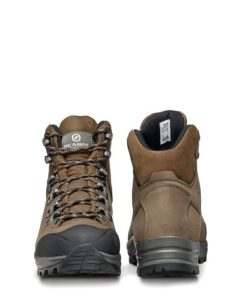 Royholliday.shop3236b71099 4