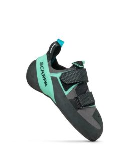 Royholliday.shop32b523f7e6 2