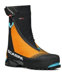 Royholliday.shop365782ca15 1