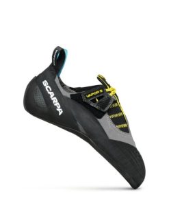 Royholliday.shop36d21989b9 1