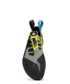 Royholliday.shop36d21989b9 3