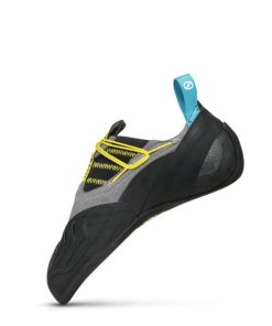 Royholliday.shop36d21989b9 4