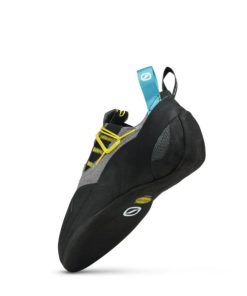 Royholliday.shop36d21989b9 5