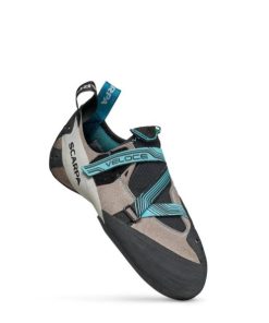 Royholliday.shop37155b79af 2