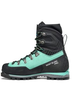 Royholliday.shop39d8ba5d48 3