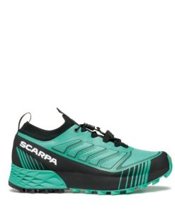 Royholliday.shop3c0314c114 2