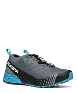 Royholliday.shop3df88982b3 1