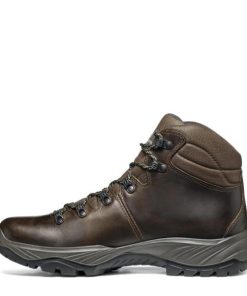 Royholliday.shop41c9a51b6d 3