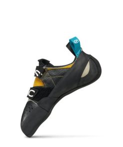 Royholliday.shop4244076c34 4