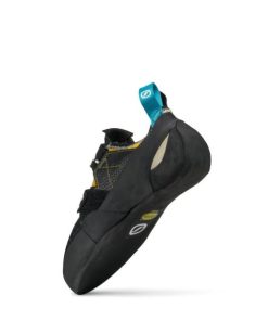 Royholliday.shop4244076c34 5