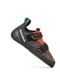 Royholliday.shop475938845e 1