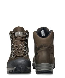 Royholliday.shop494fa0cb2a 4