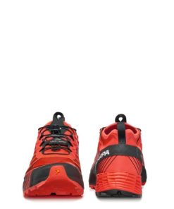 Royholliday.shop4bb65e62f5 4