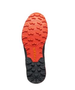 Royholliday.shop4bb65e62f5 5