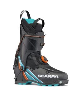 Royholliday.shop4c09a9da08 1